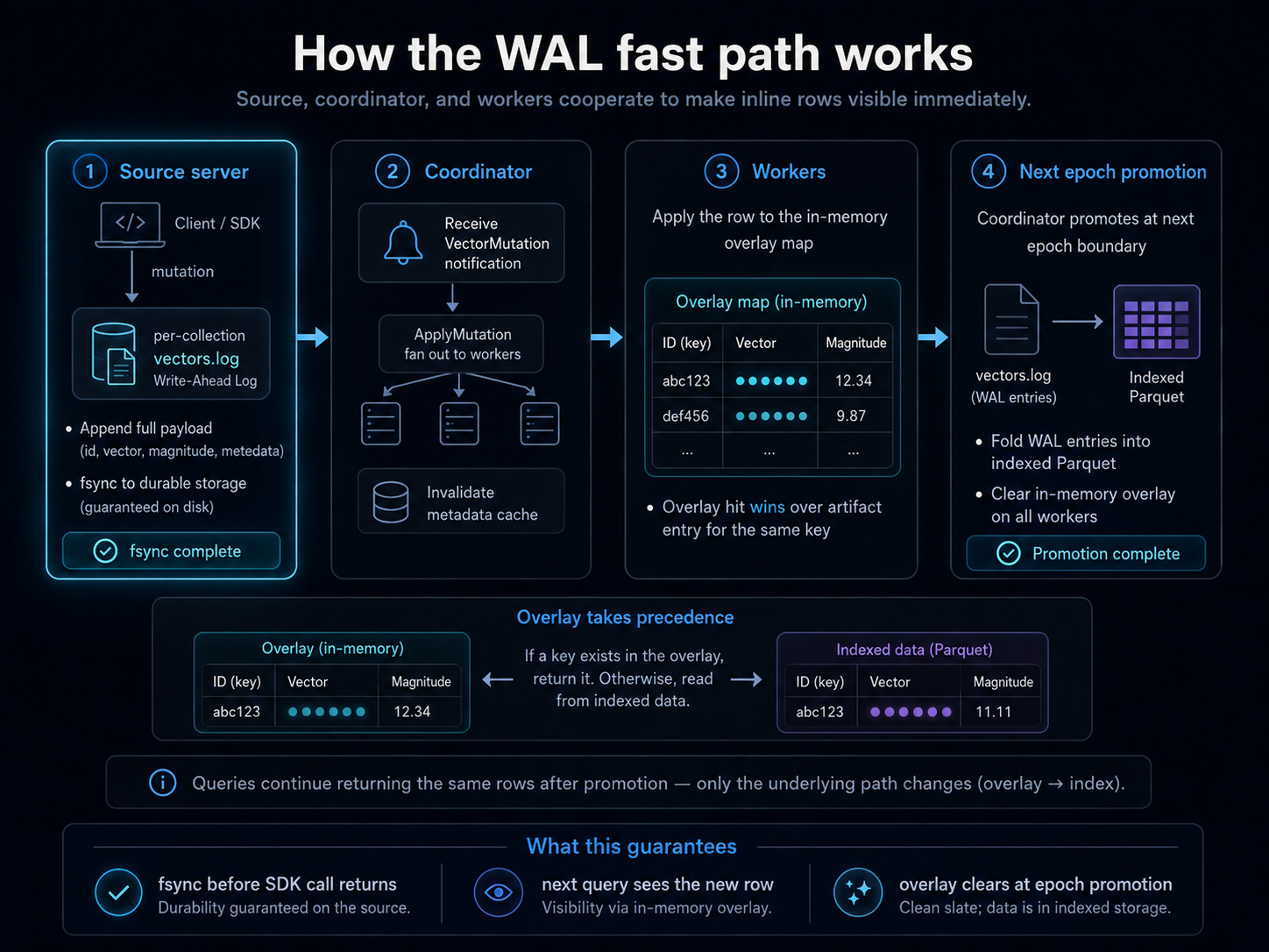 How the WAL fast path works: 4-step coordination. (1) Source server appends the full payload (vector + metadata) to vectors.log and fsyncs before responding. (2) Coordinator receives a per-collection mutation notification, fans out ApplyMutation to workers, and invalidates its metadata cache. (3) Workers apply the upsert to an in-memory overlay map; subsequent searches consult the overlay first and overlay wins over any artifact-resident entry for the same key. (4) At the next epoch boundary the WAL entries fold into the indexed parquet and the overlay clears. What this guarantees: fsync before SDK call returns; next query sees vector + metadata; overlay clears at promotion without changing query results.